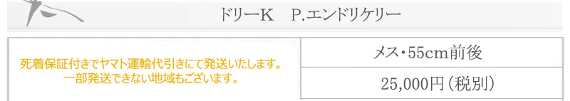 h[j@GhP[