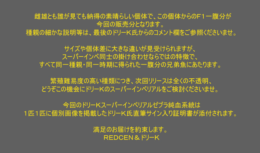 スーパーインペリアルゼブラ×スーパーインペリアルゼブラ 純血F1