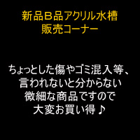 AEgbg̔R[i[