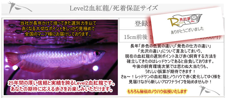 Level2血紅龍
